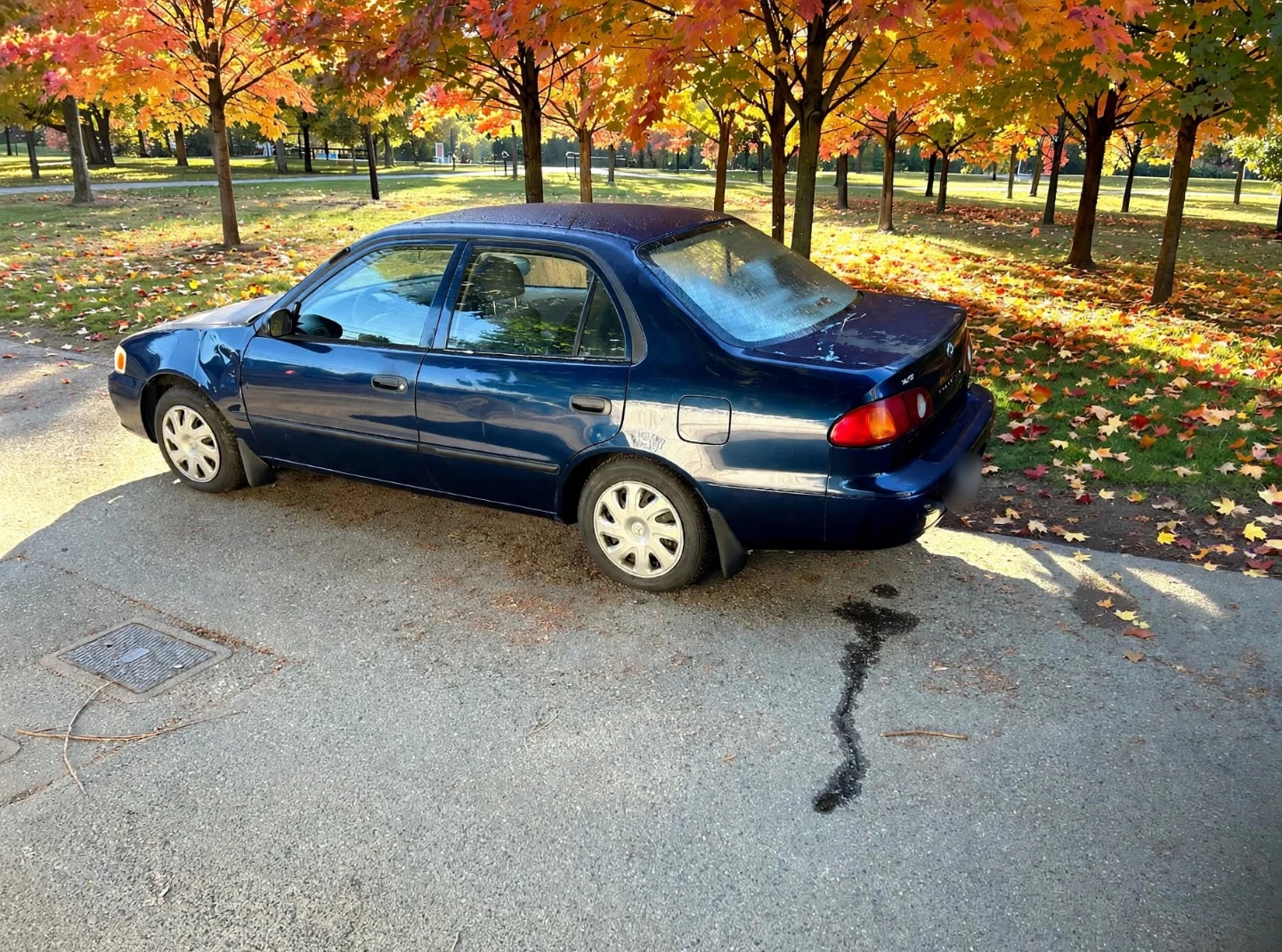 2002 Toyota Corollaq - photo 3
