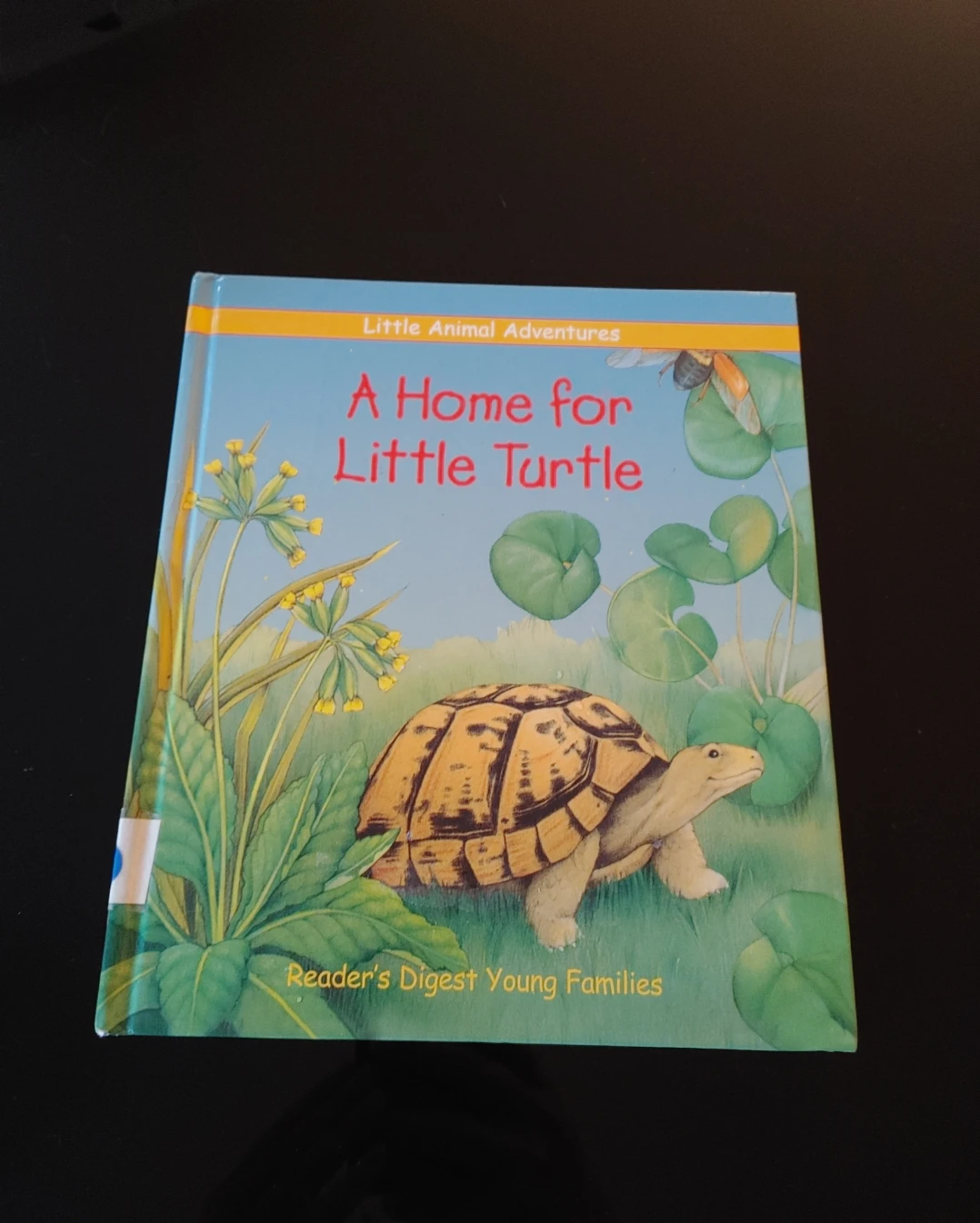 A Home for Little Turtle - Little Animal Adventures