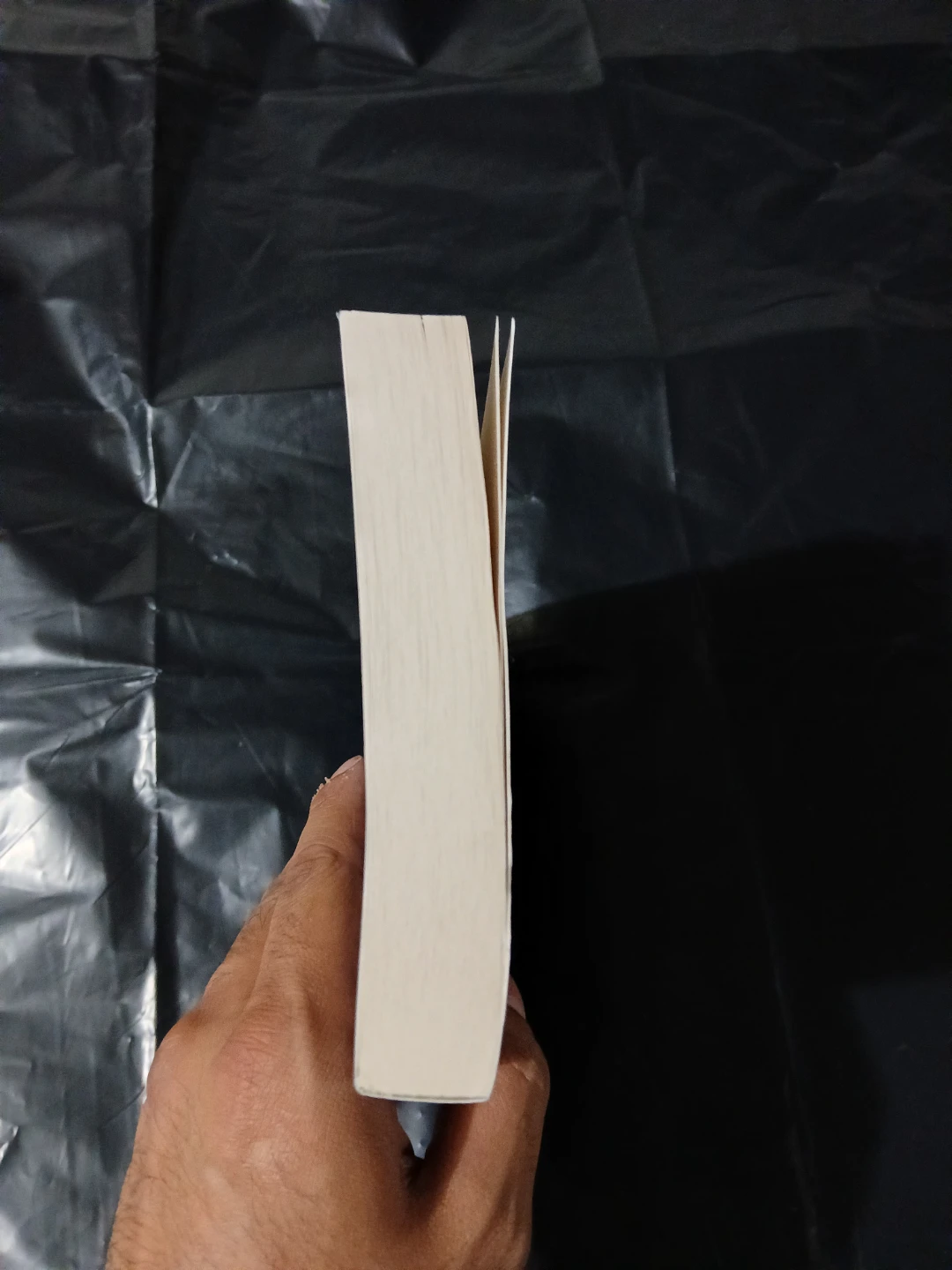 The Traitor Moth by Katharine Orton - Advance Reader Copy - photo 2
