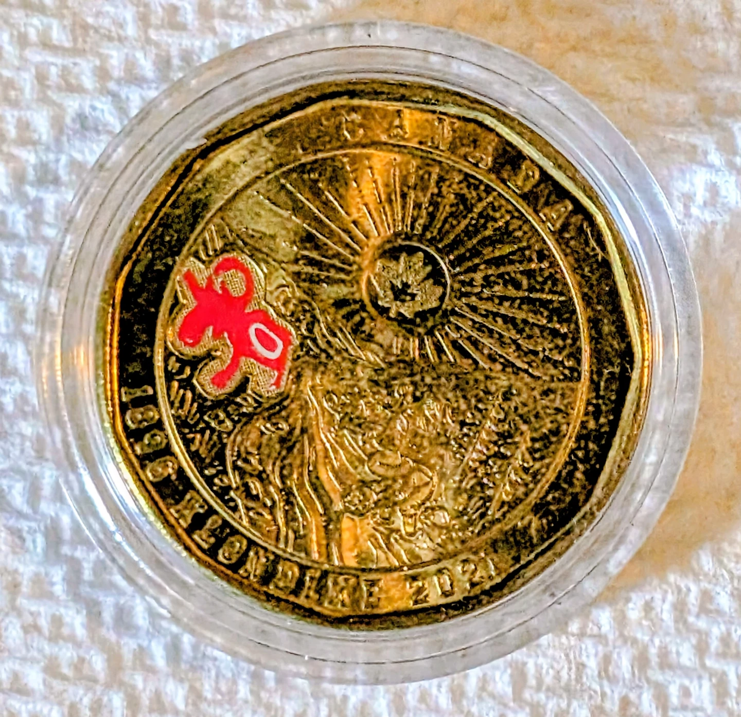 Collection of 8 Commemorative Canadian Loonies - photo 5
