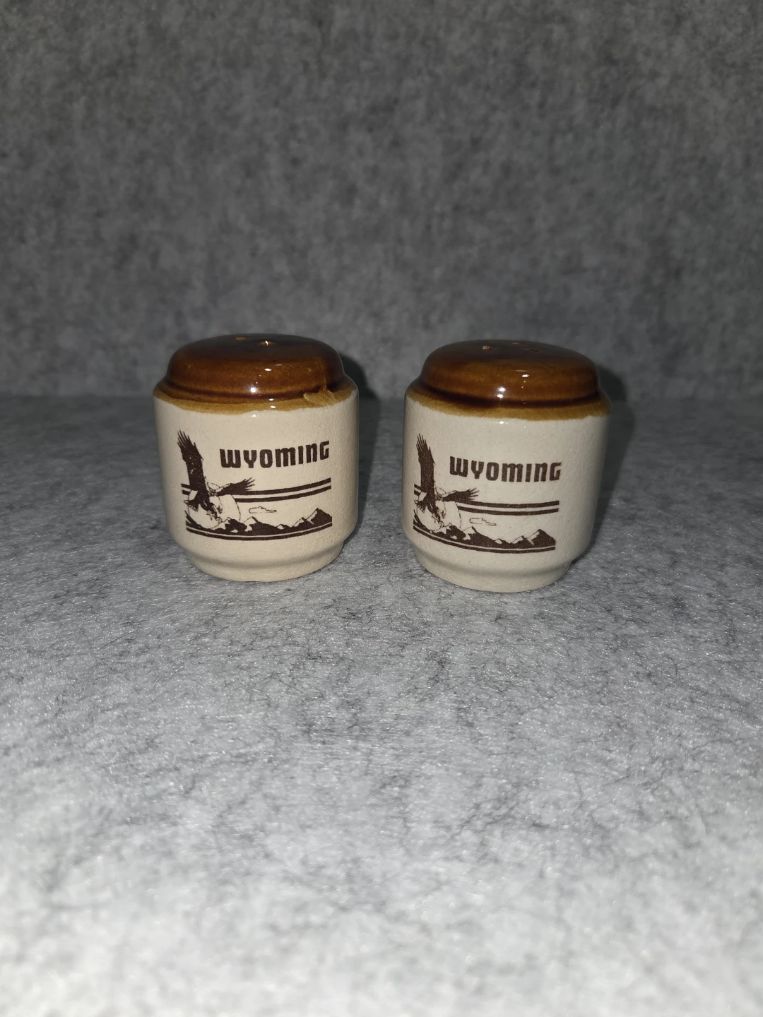 Vintage Wyoming Ceramic Salt and Pepper Shakers