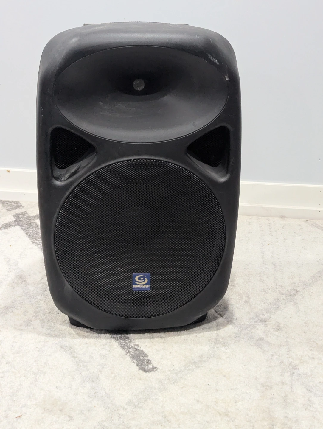 Gem Sound Professional PA Speaker