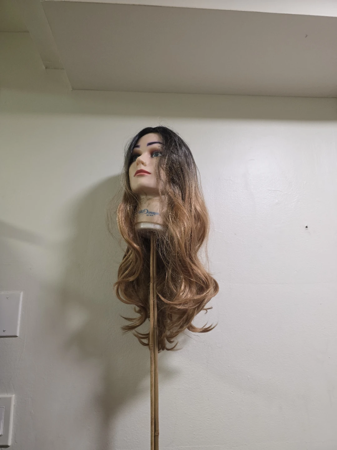 Assorted Long Wigs