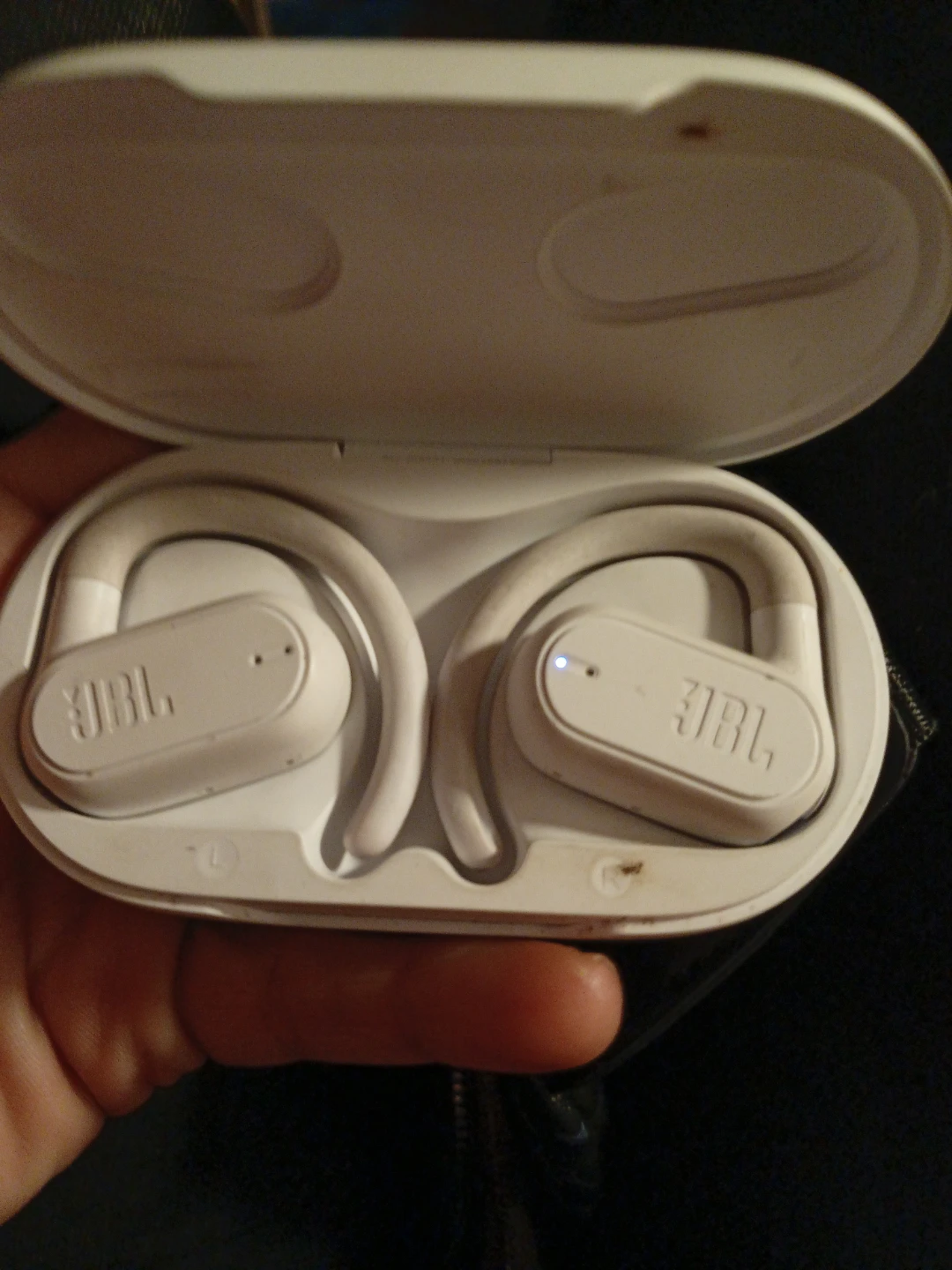 JBL Endurance Peak Wireless Earbuds