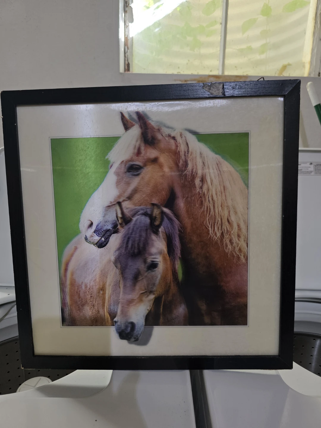 Framed Horse Art Print
