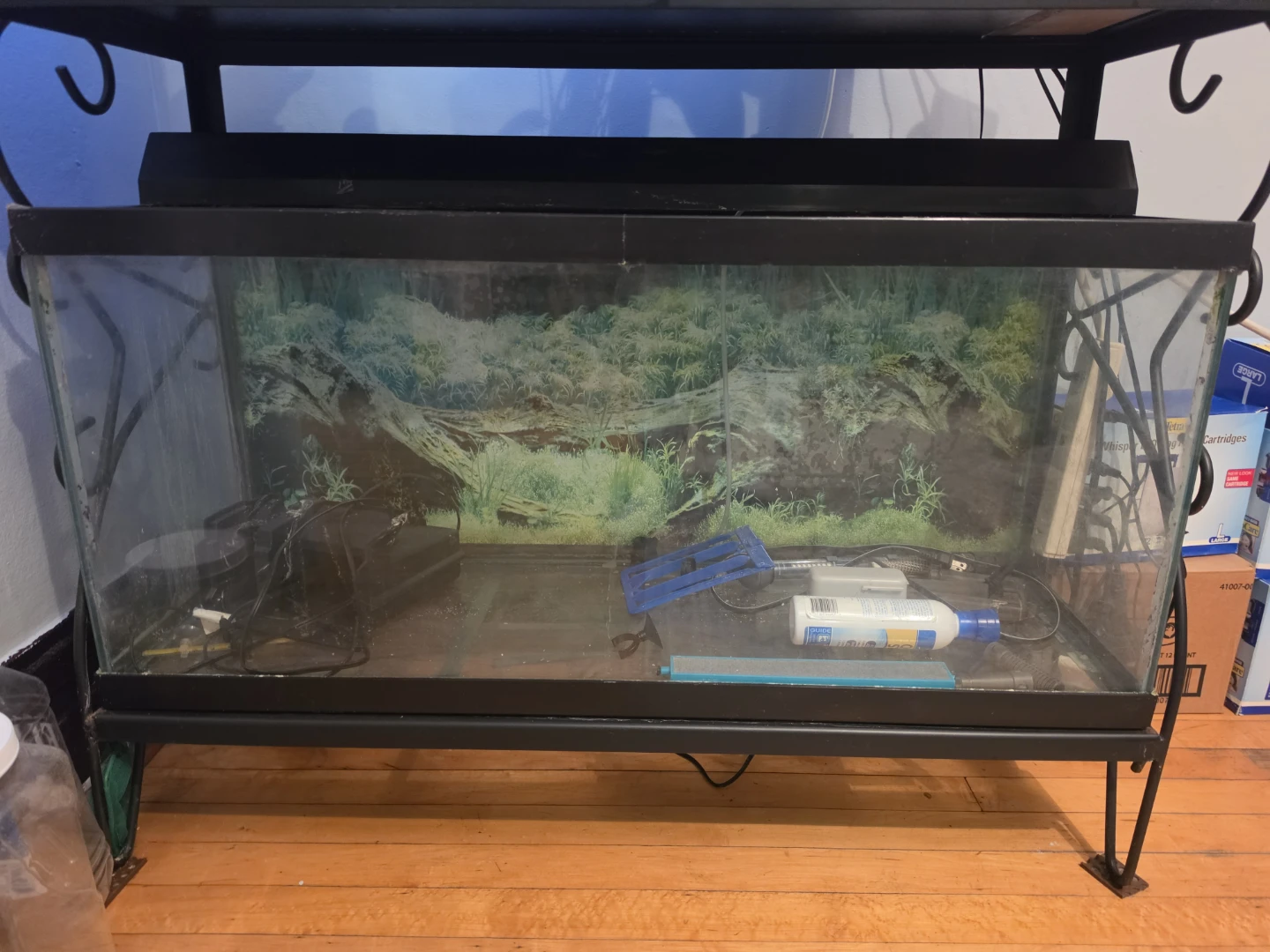 30 Gallon Glass Aquarium Tank