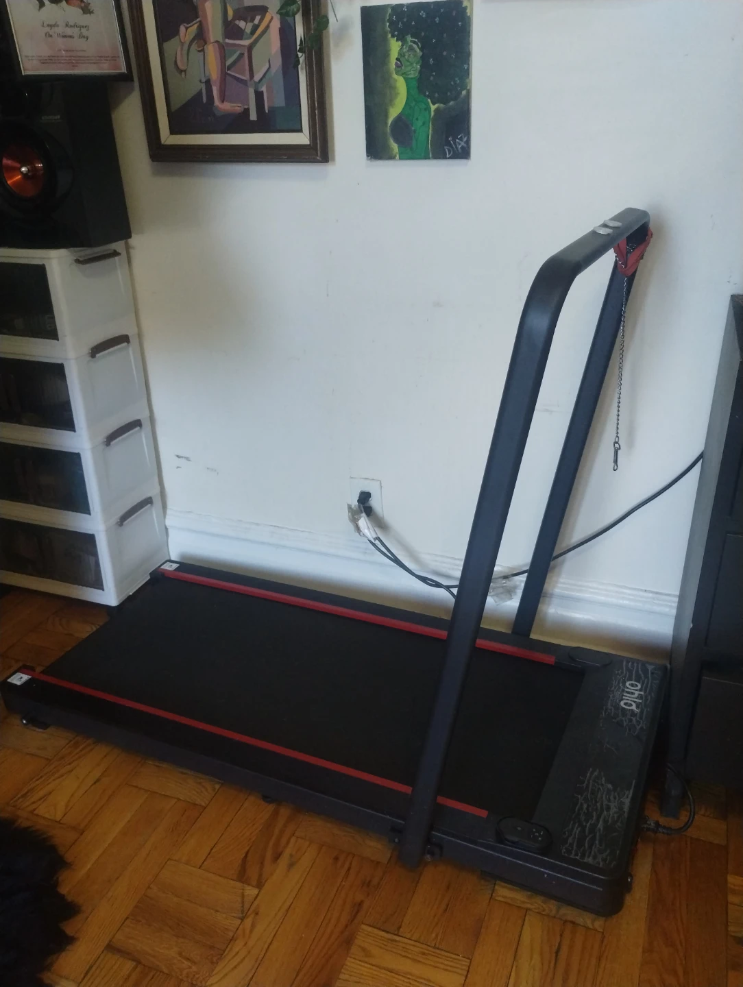Dog treadmill