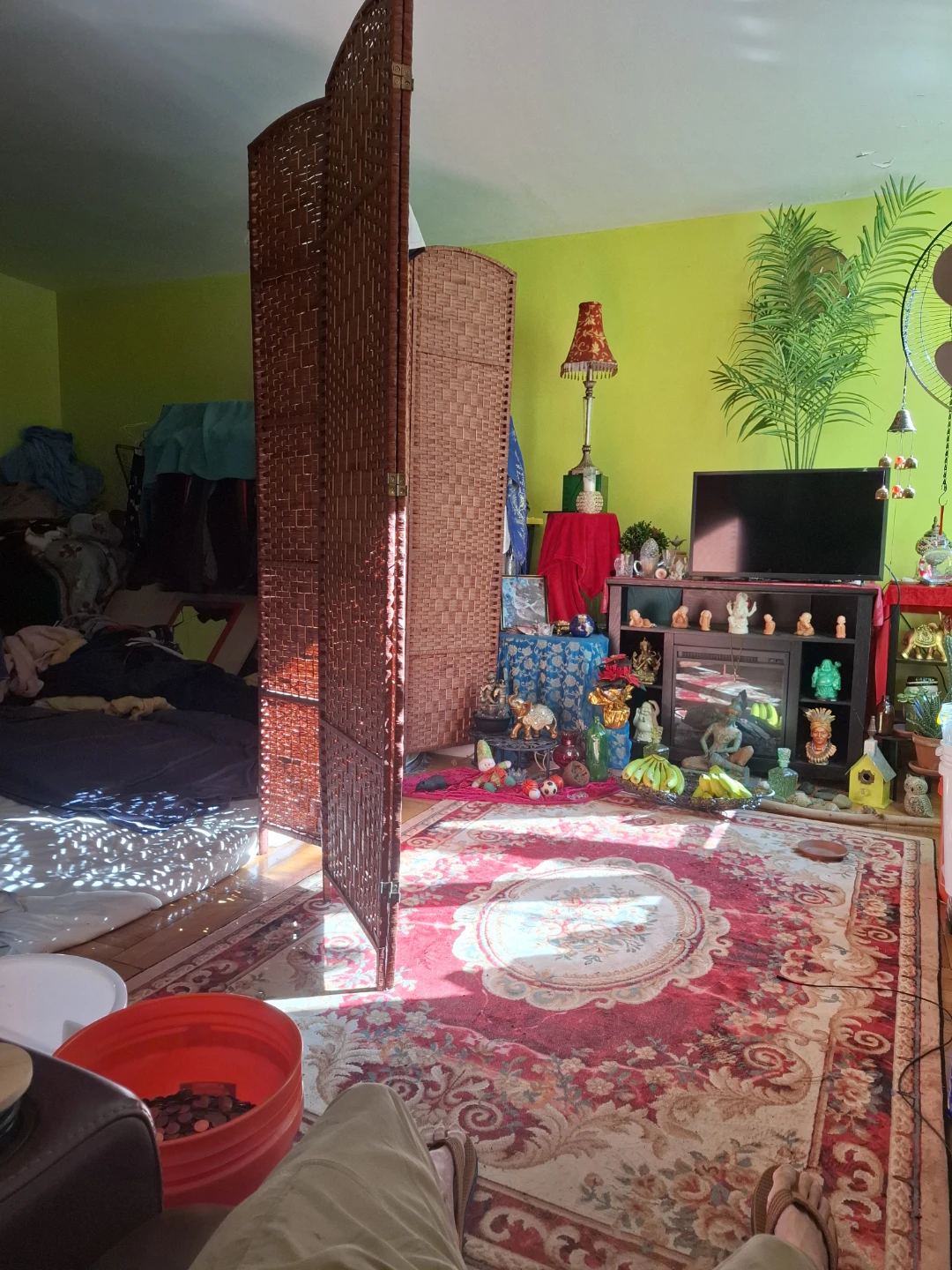 Studio Cash Sale by Owner - photo 3
