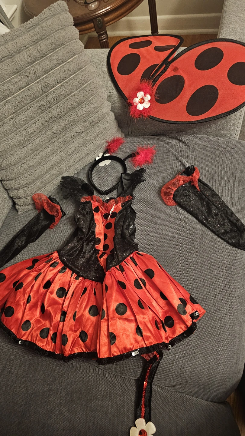 Kids Ladybug Costume Set