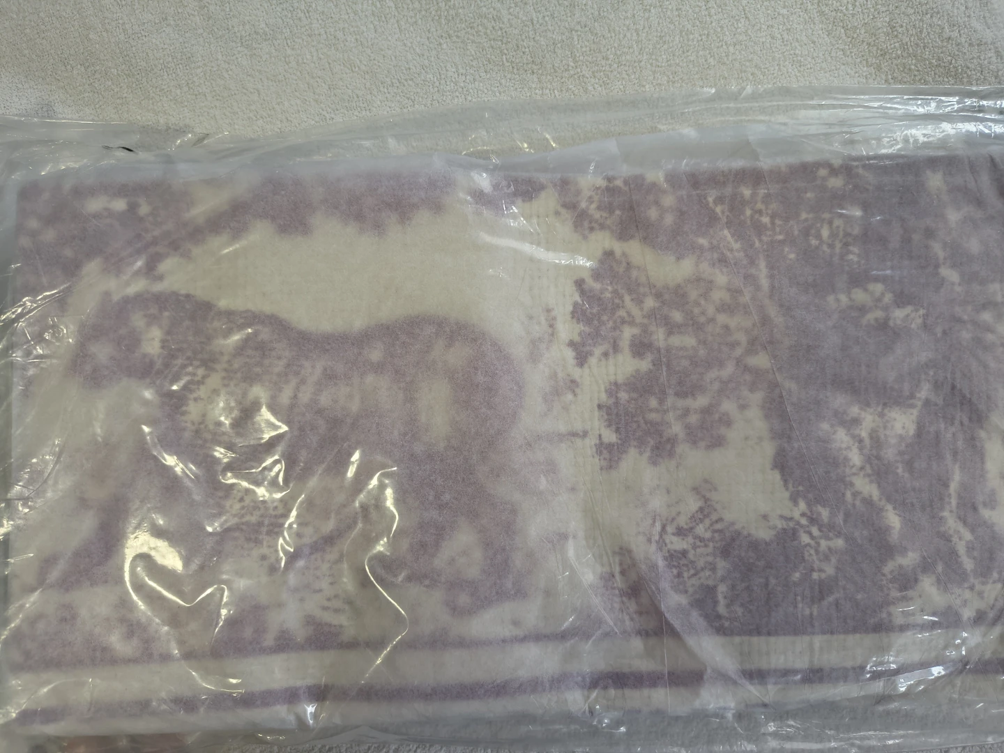 Christian Dior Exclusive VIC GWP Tote Bags - photo 5