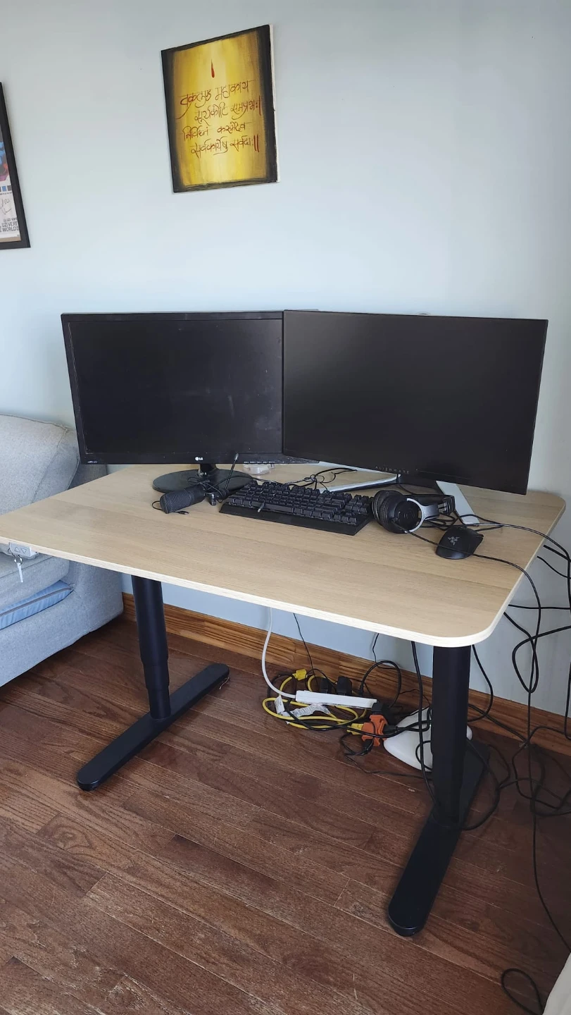 Adjustable Standing Desk - photo 3