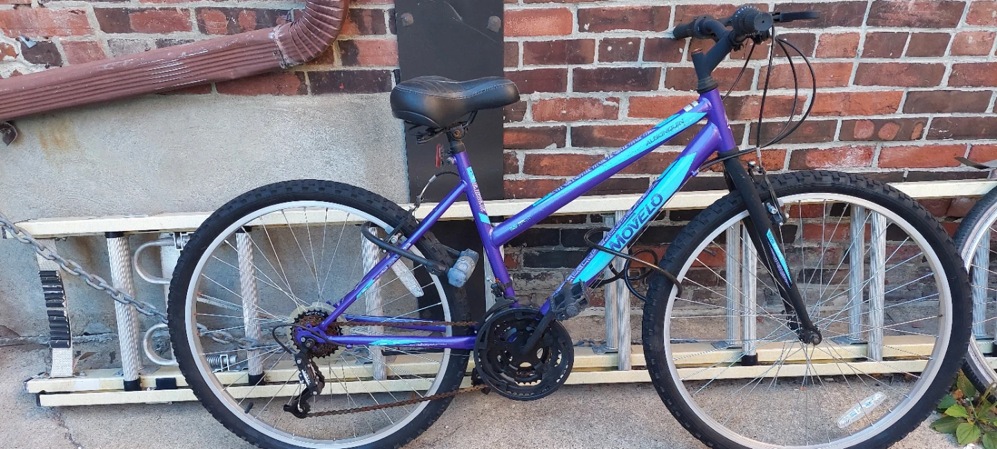 Movelo Algonquin Mountain Bike - photo 2