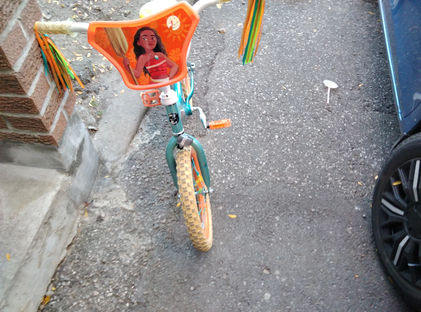 Moana Kids Bicycle