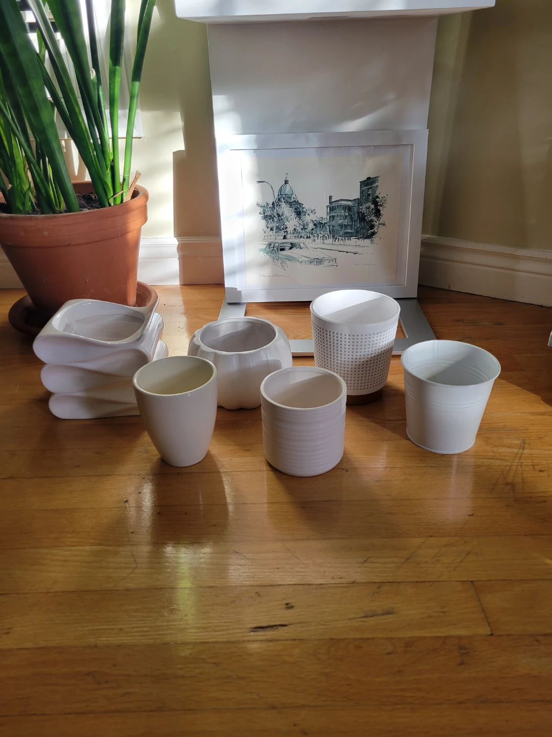 FREE Plant Pots