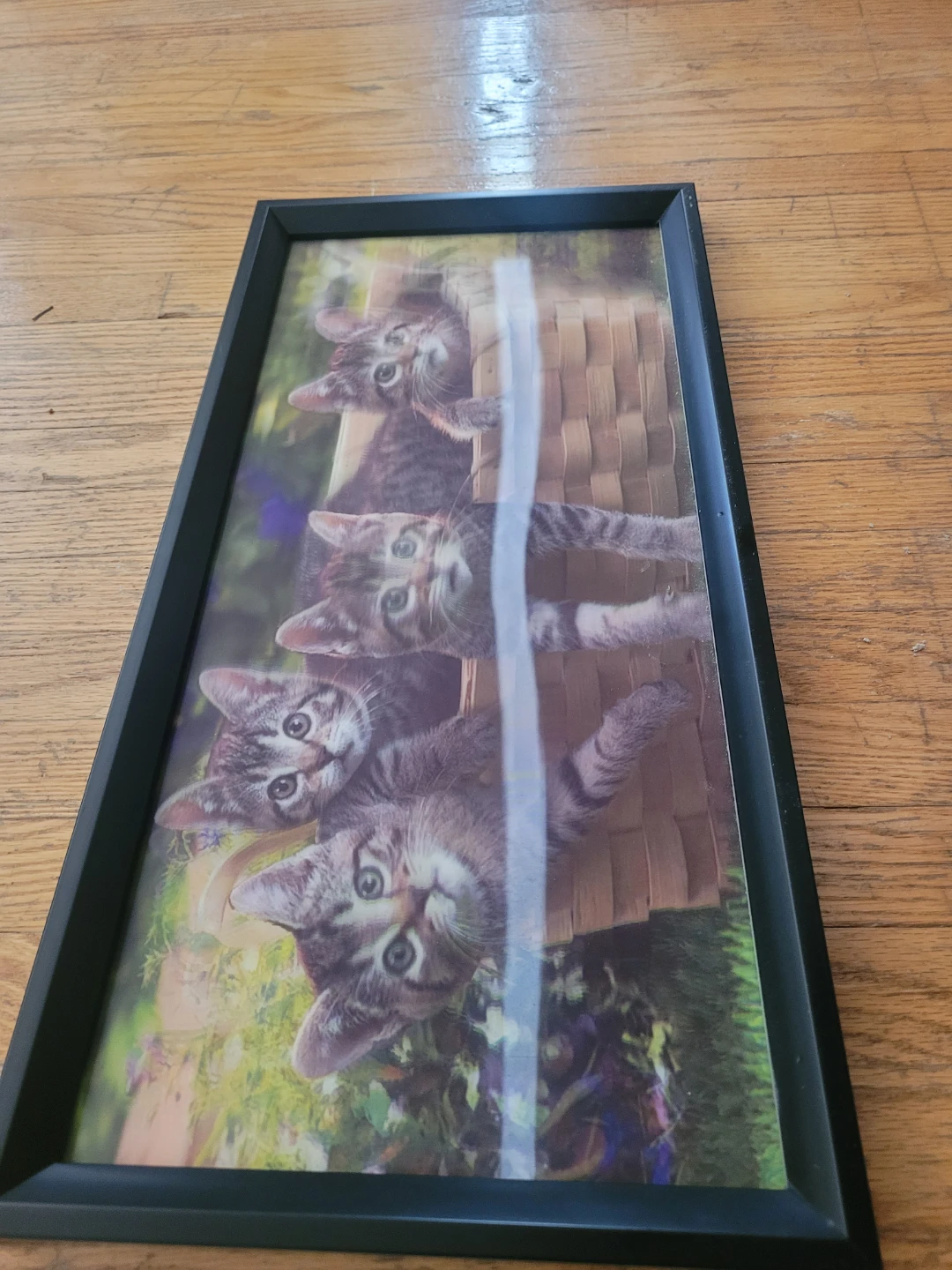 Kittens in a Basket Framed holographic Picture