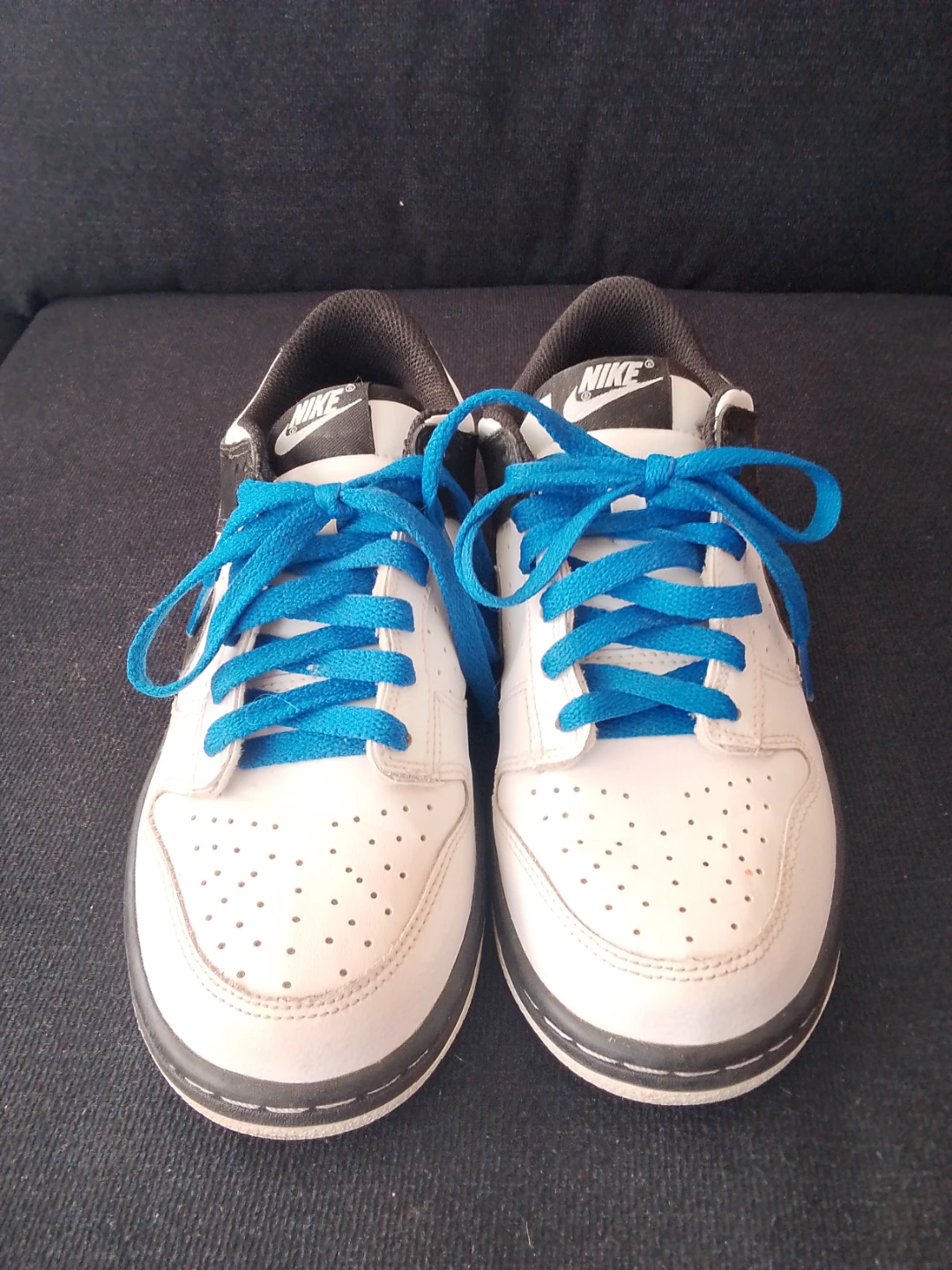 Nike Dunk Low Sneakers