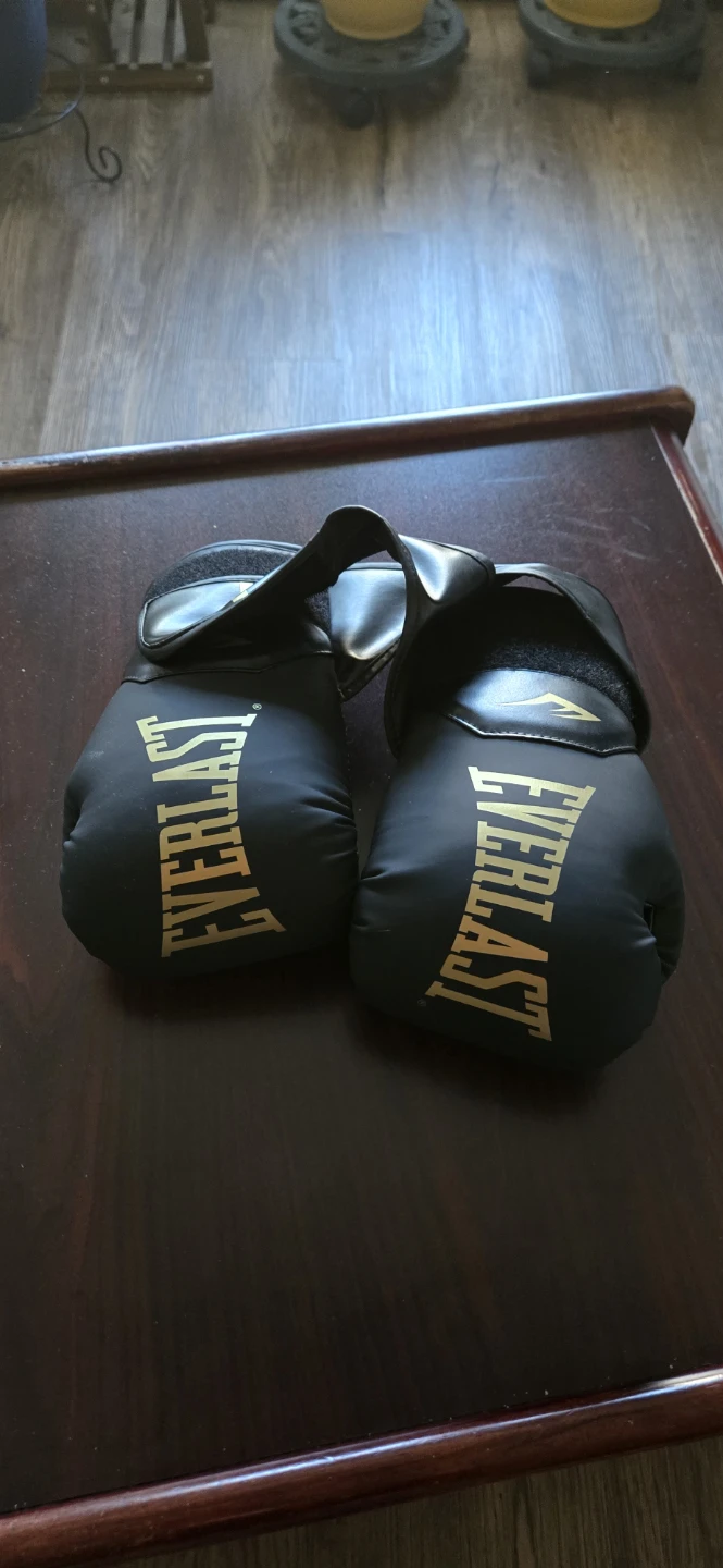 Everlast Boxing Gloves