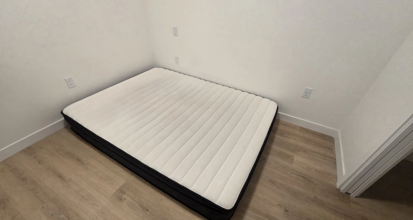 Free Queen mattress