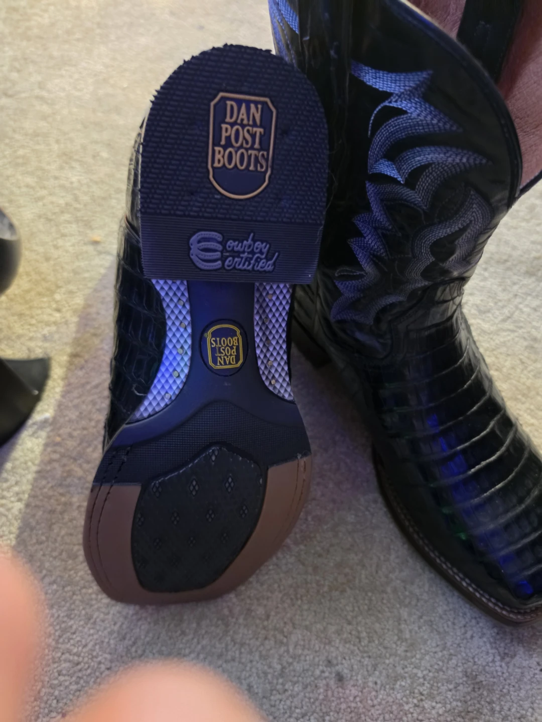 Dan post Kingsley caiman boots