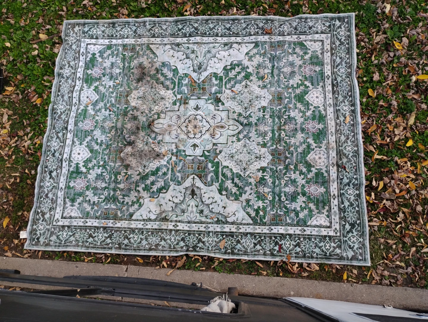 Green and white ornate area rug - photo 4