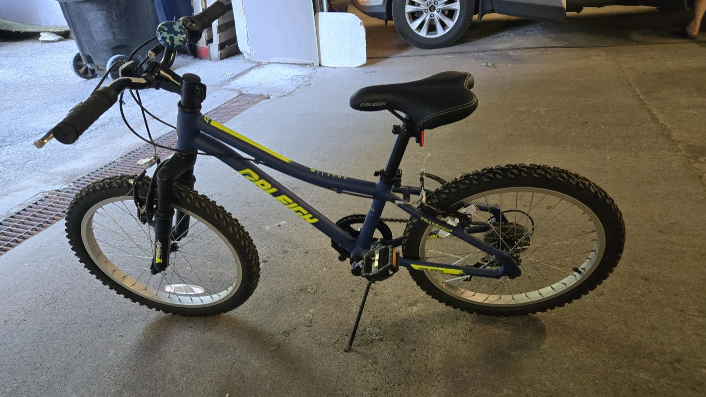 Raleigh GOAT 20-inch Kids Bike - photo 3