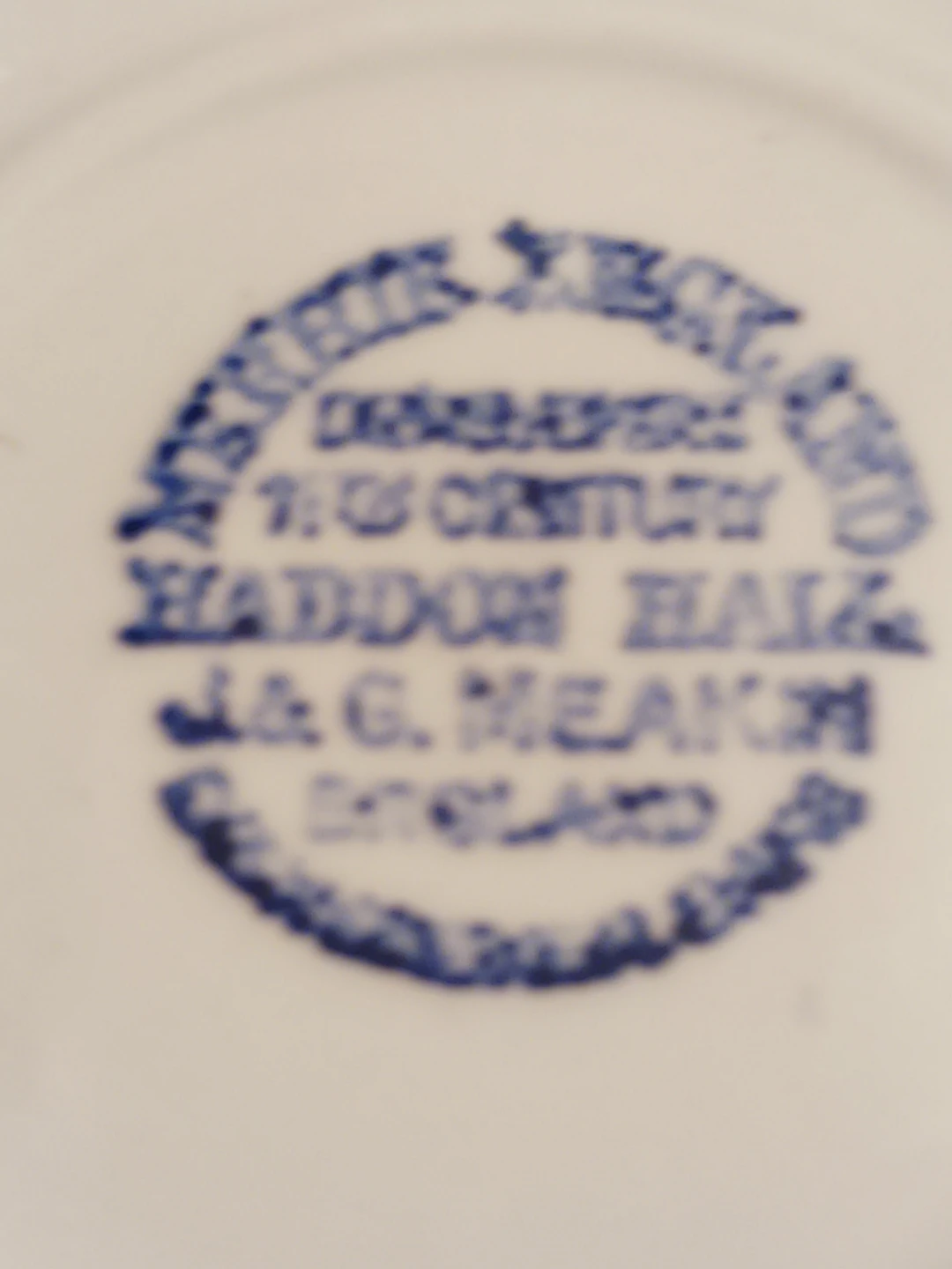Set of 2 J&G Meakin Haddon Hall Blue English Plates - photo 4