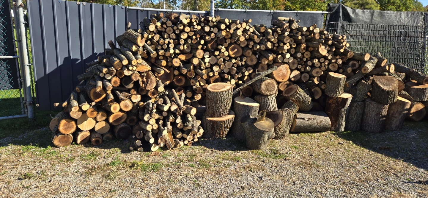 Firewood Logs