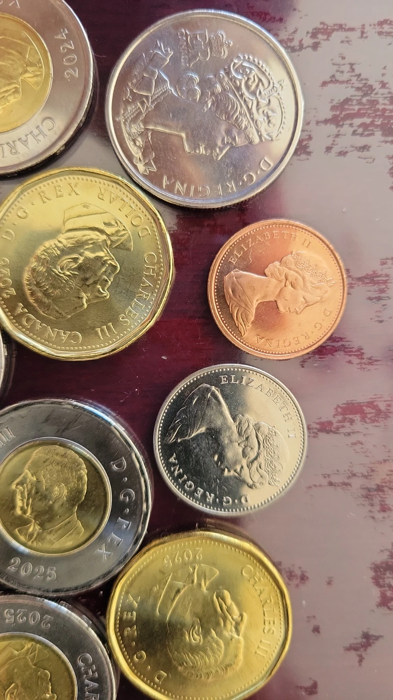 Assorted Canadian Coins Collection - photo 3