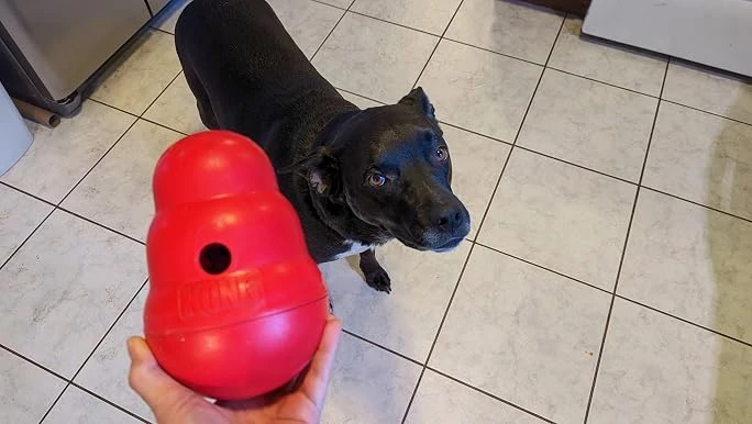 KONG Wobbler Dog Toy Large