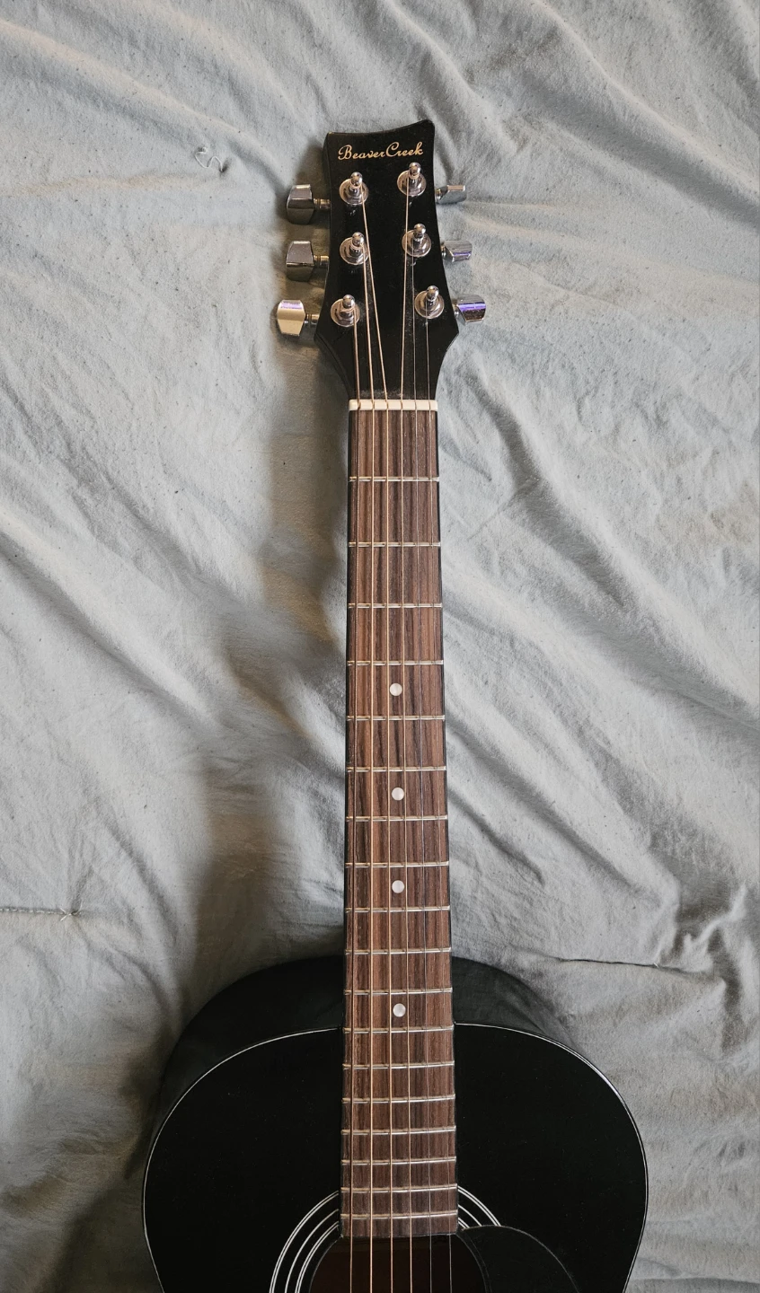 Beaver Creek 3/4 Acoustic Guitar - photo 3