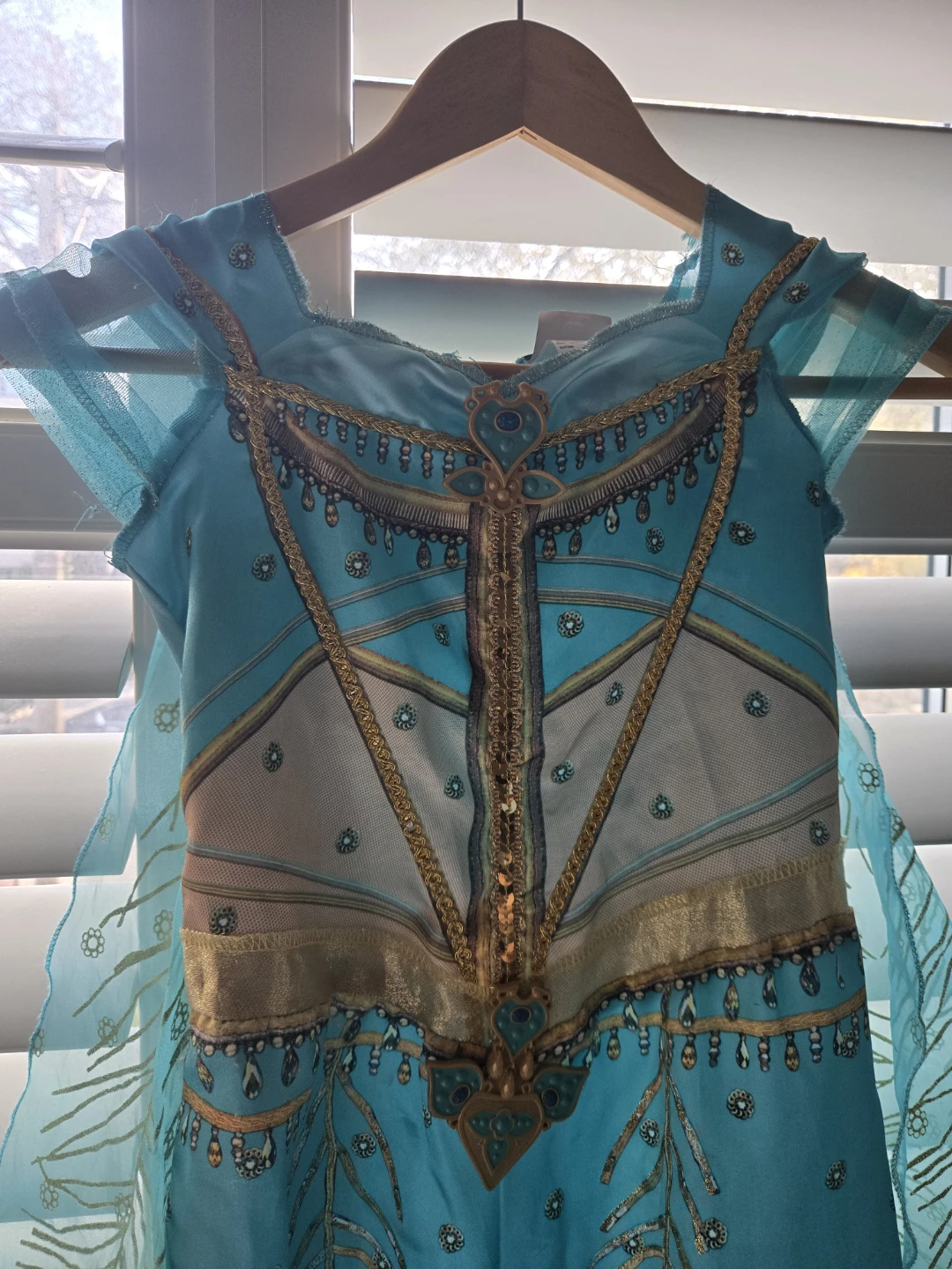 Aladdin Princess Jasmine costume with Gold Shoes - photo 5