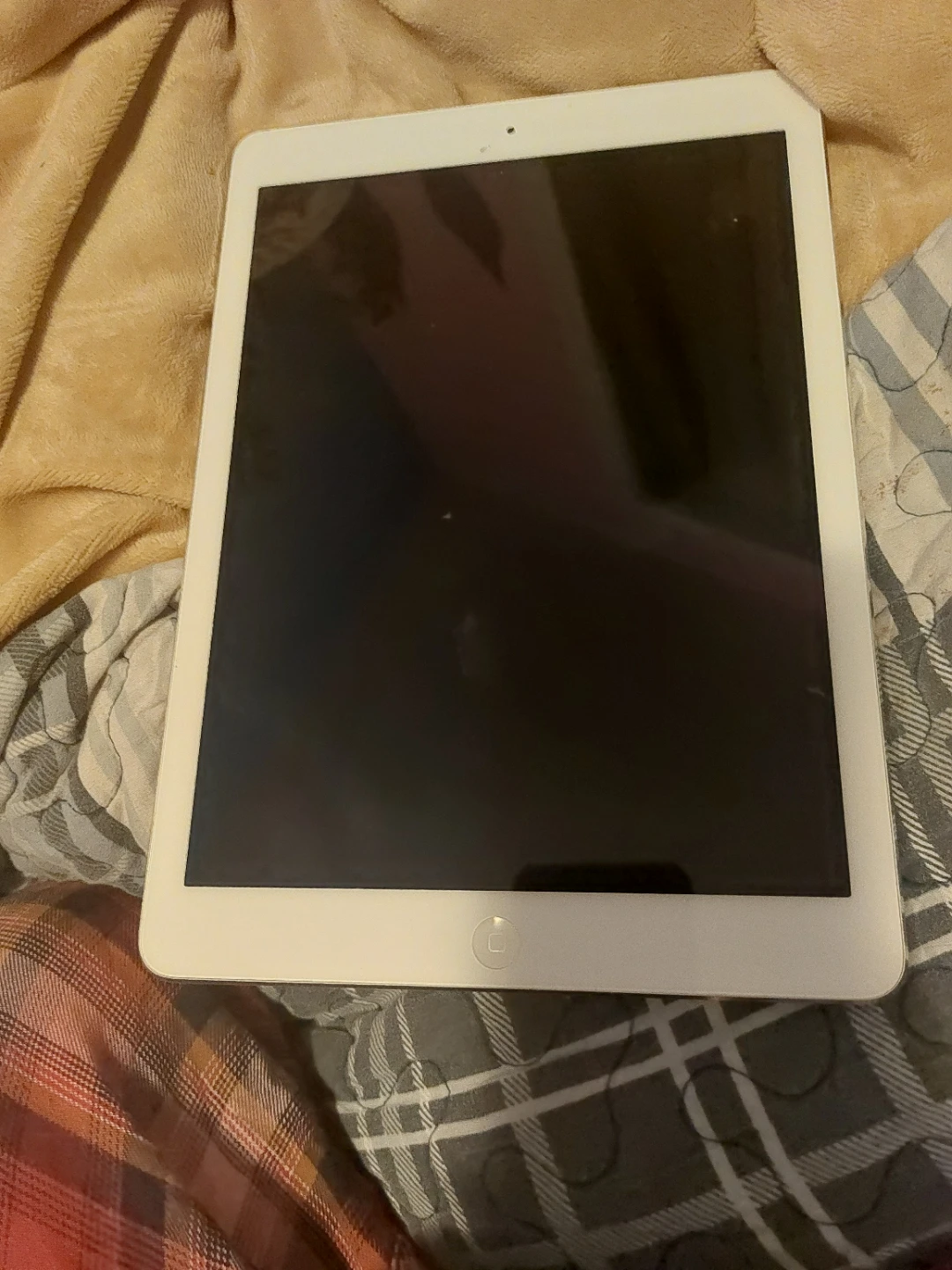 Apple iPad with protective case - photo 4