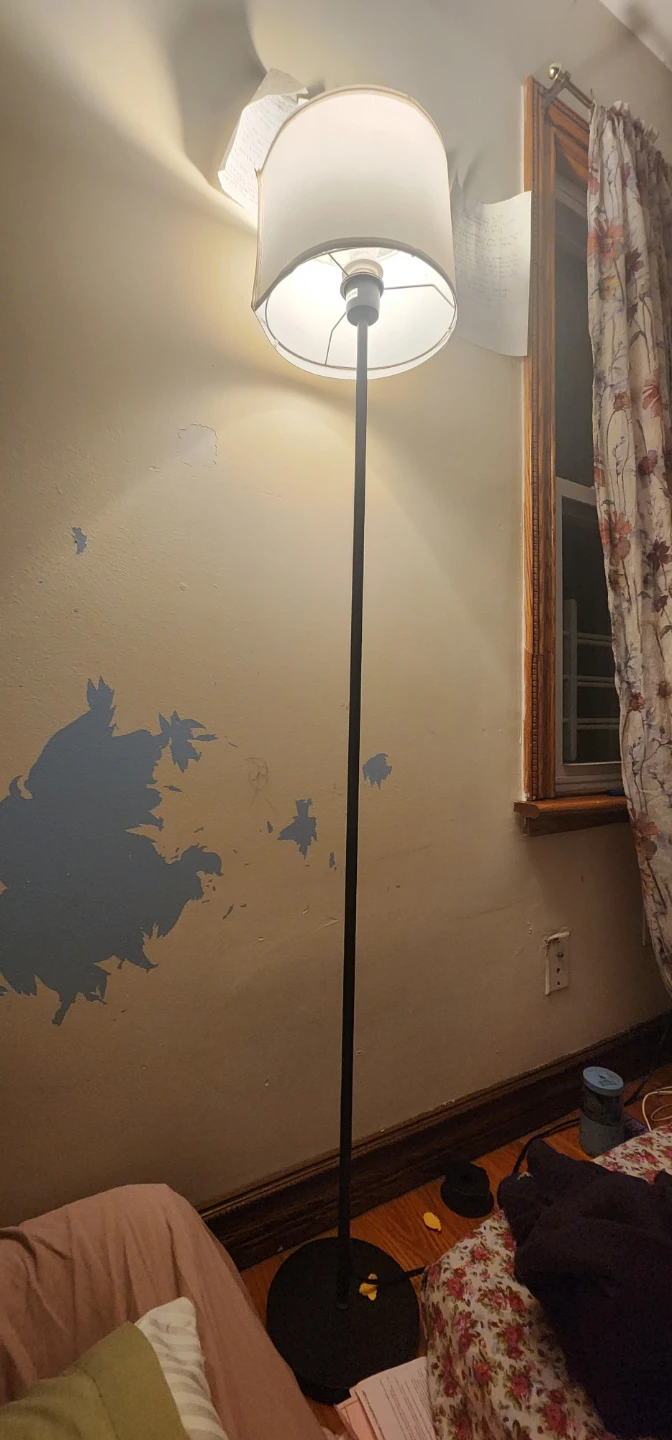Minimalist Black Floor Lamp