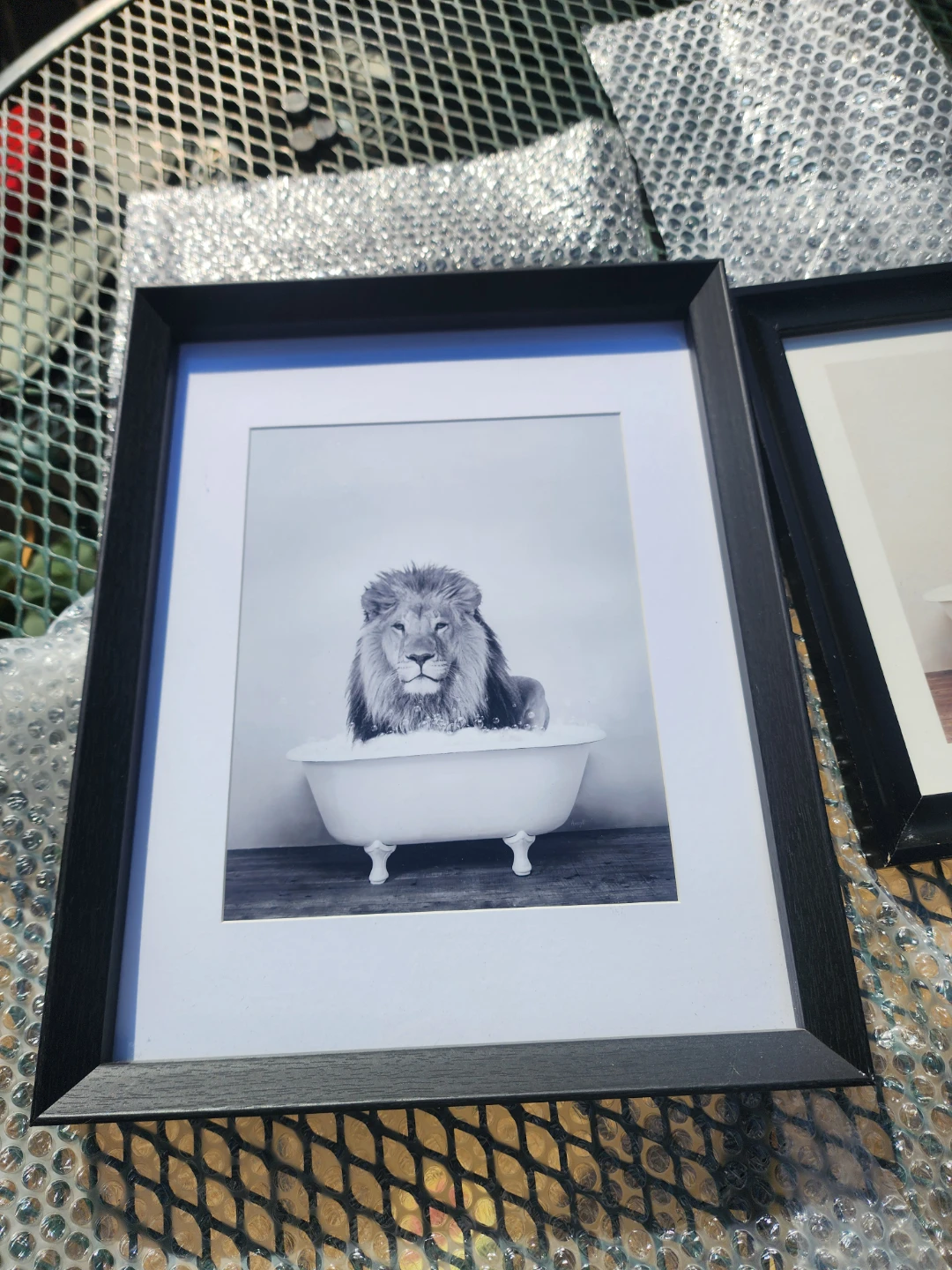 Set of Two Animal Bathtub Framed Prints - photo 2