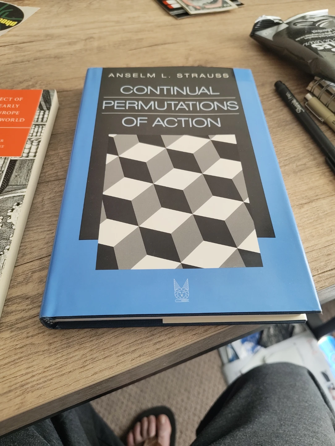 Continual Permutations of Action by Anselm L. Strauss