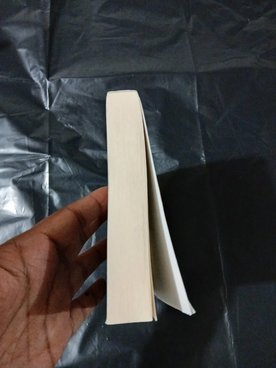 The Traitor Moth by Katharine Orton - Advance Reader Copy - photo 4