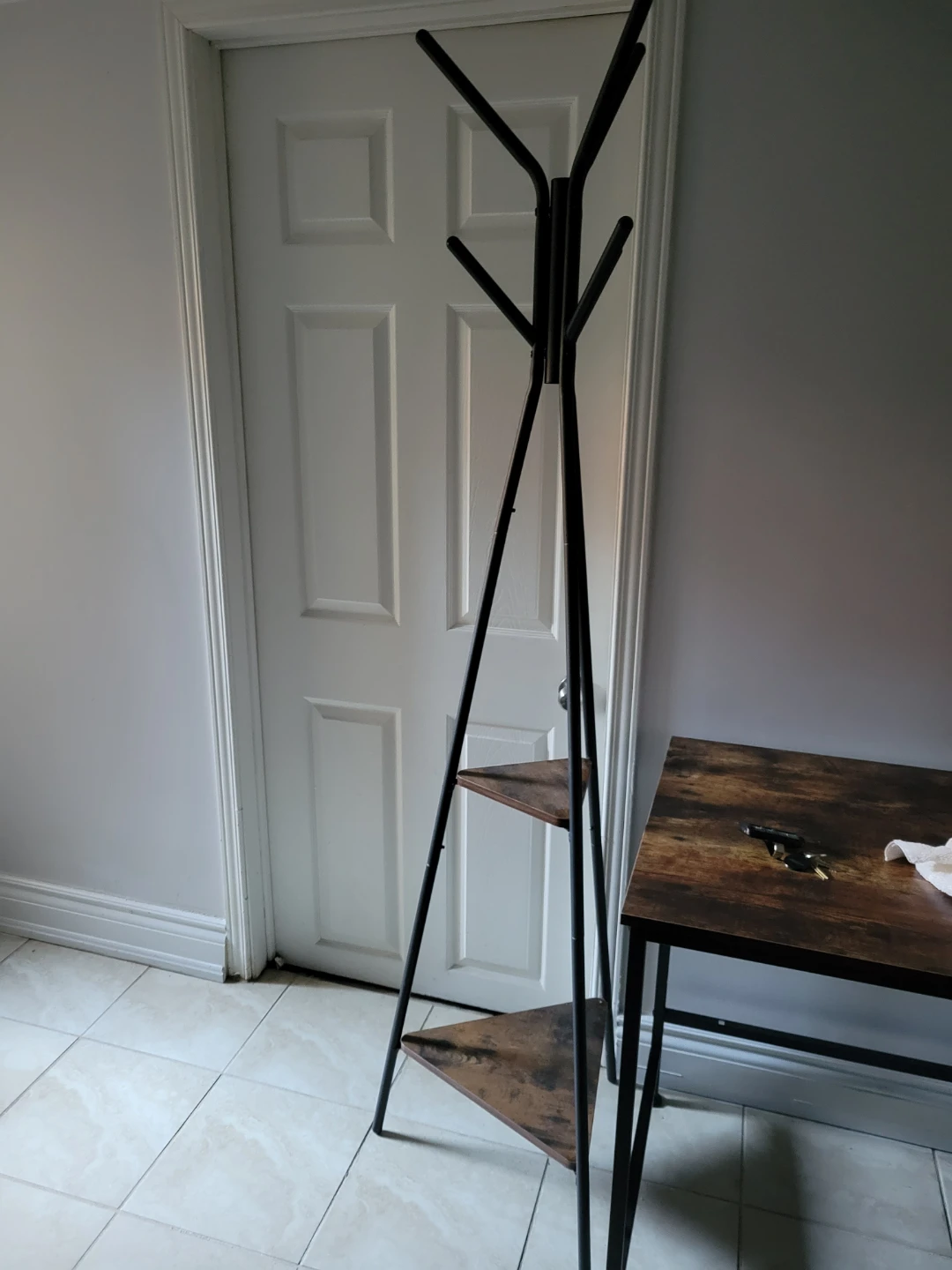 Freestanding Carbon Steel Coat Rack with 2 Shelves
