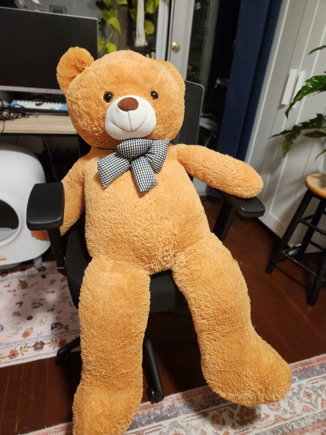 Giant Teddy bear - photo 5