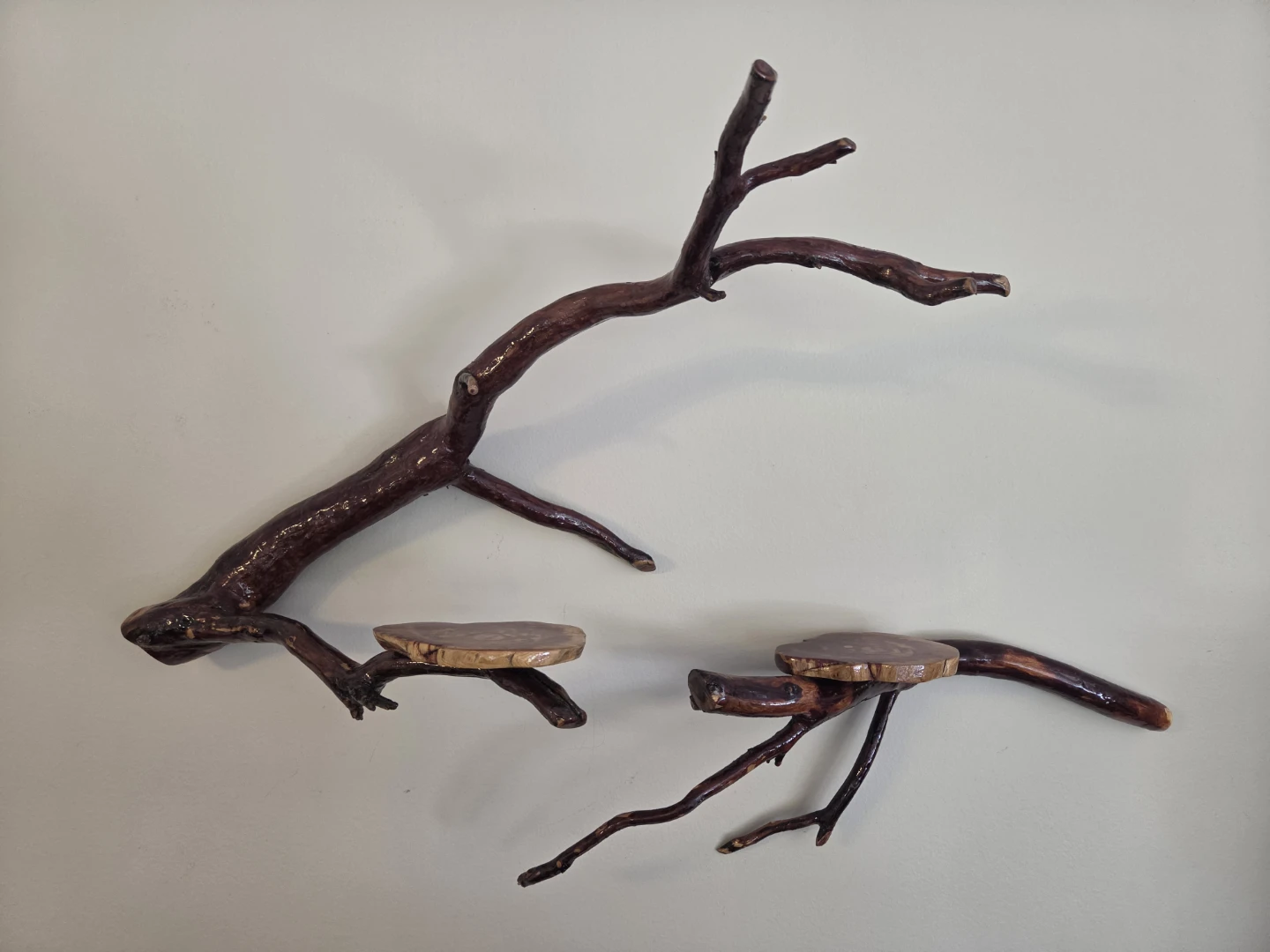 Rustic Driftwood Wall Shelf Set - photo 4
