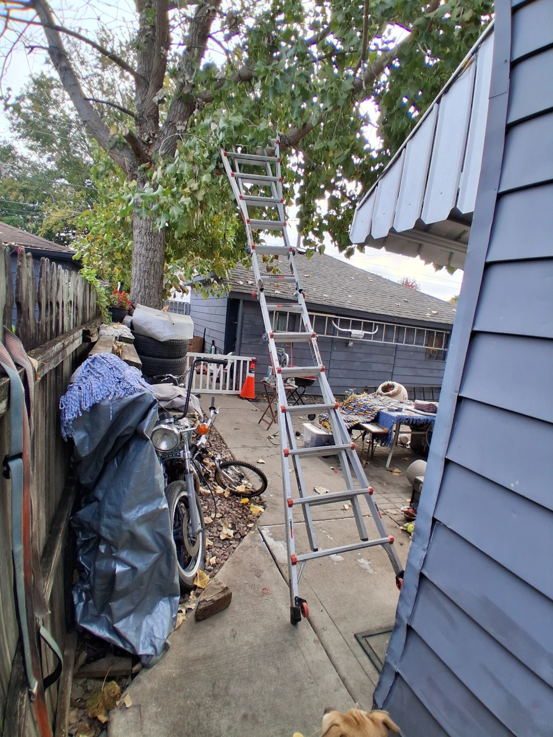 Little Giant Leveler Ladder 22ft - photo 4