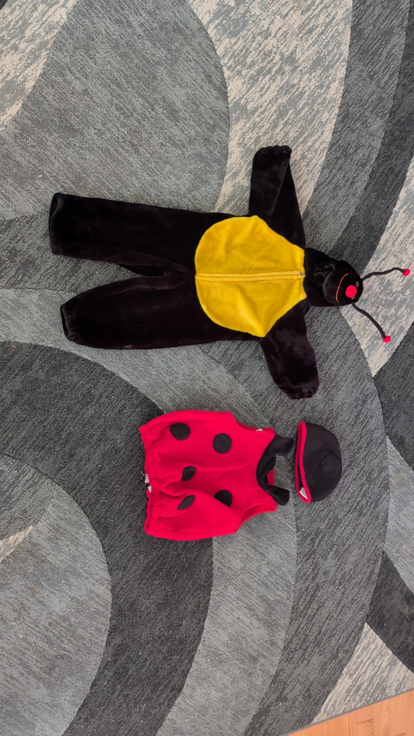 Kids reversible bug costume set ladybug