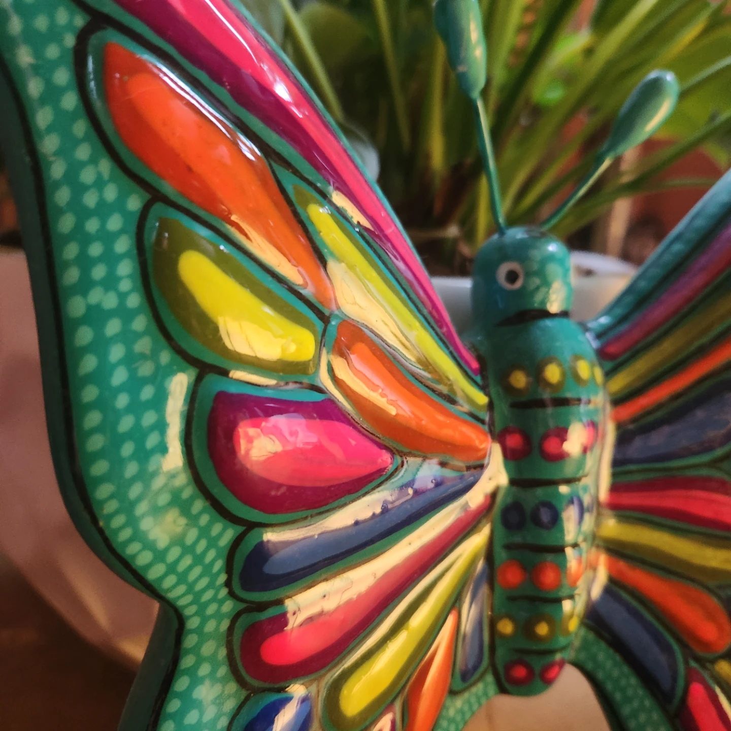 Butterfly 🦋 - photo 3