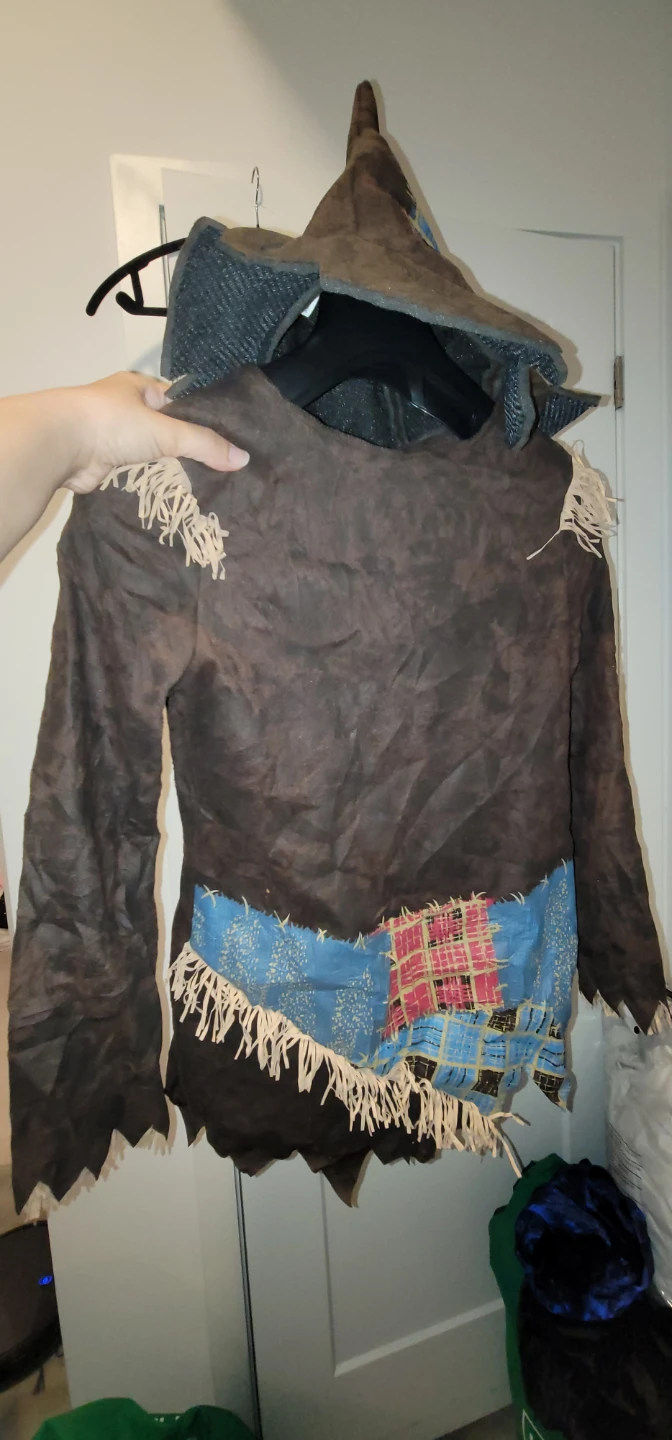 Assorted Halloween Costumes
