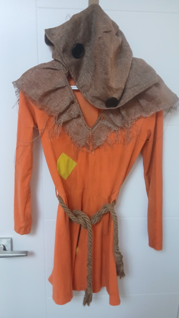 Scarecrow Halloween Costume