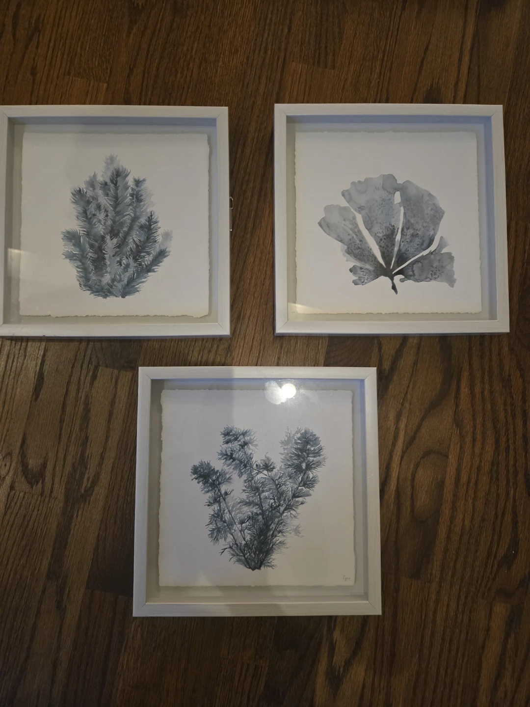 Set of 3 Coastal Botanical Art Prints - photo 2