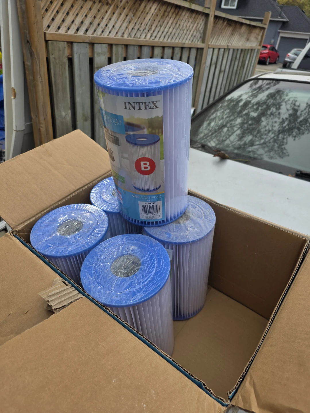 Intex Type B Pool Filter Cartridges