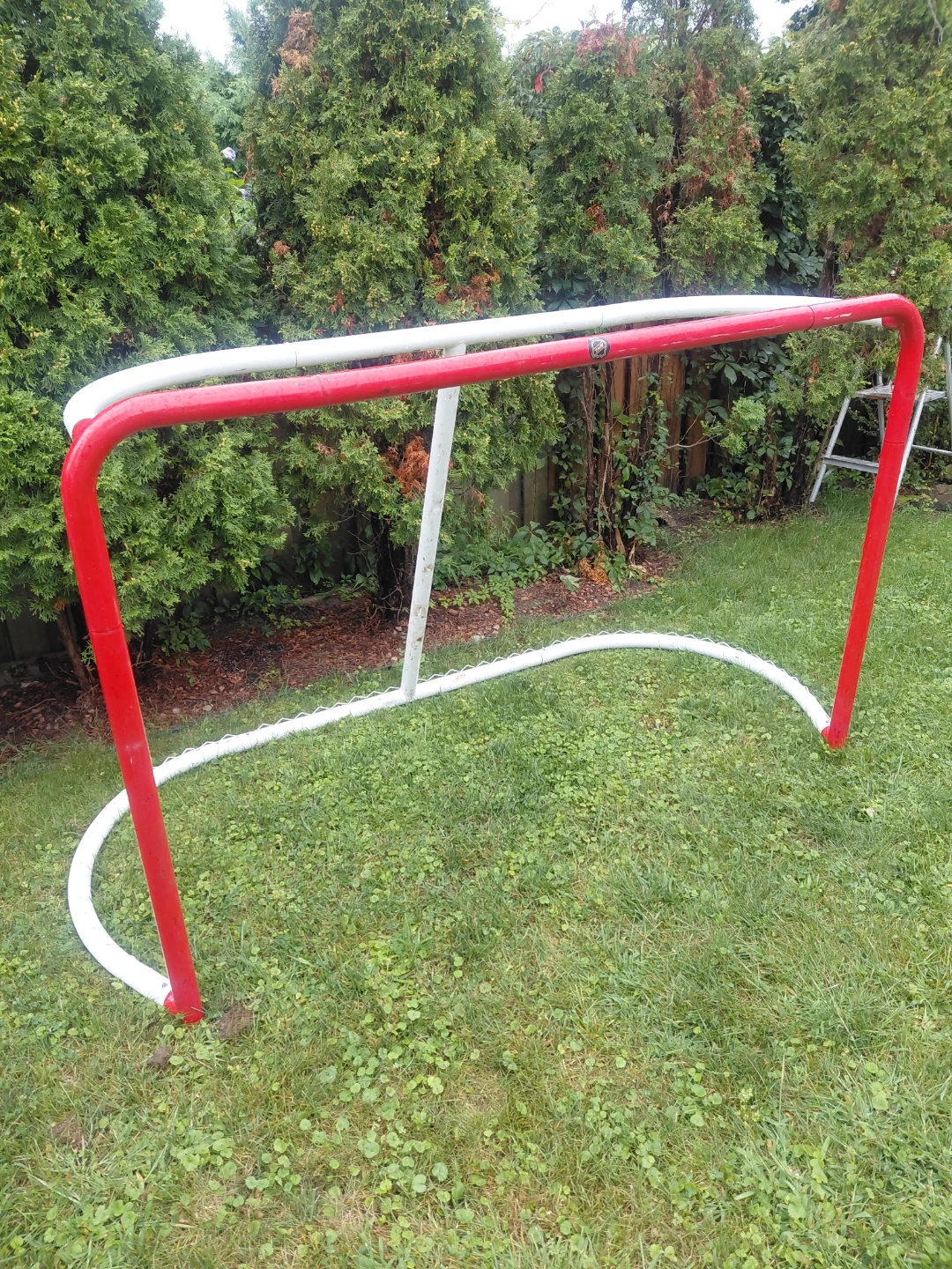 NHL street hockey goal