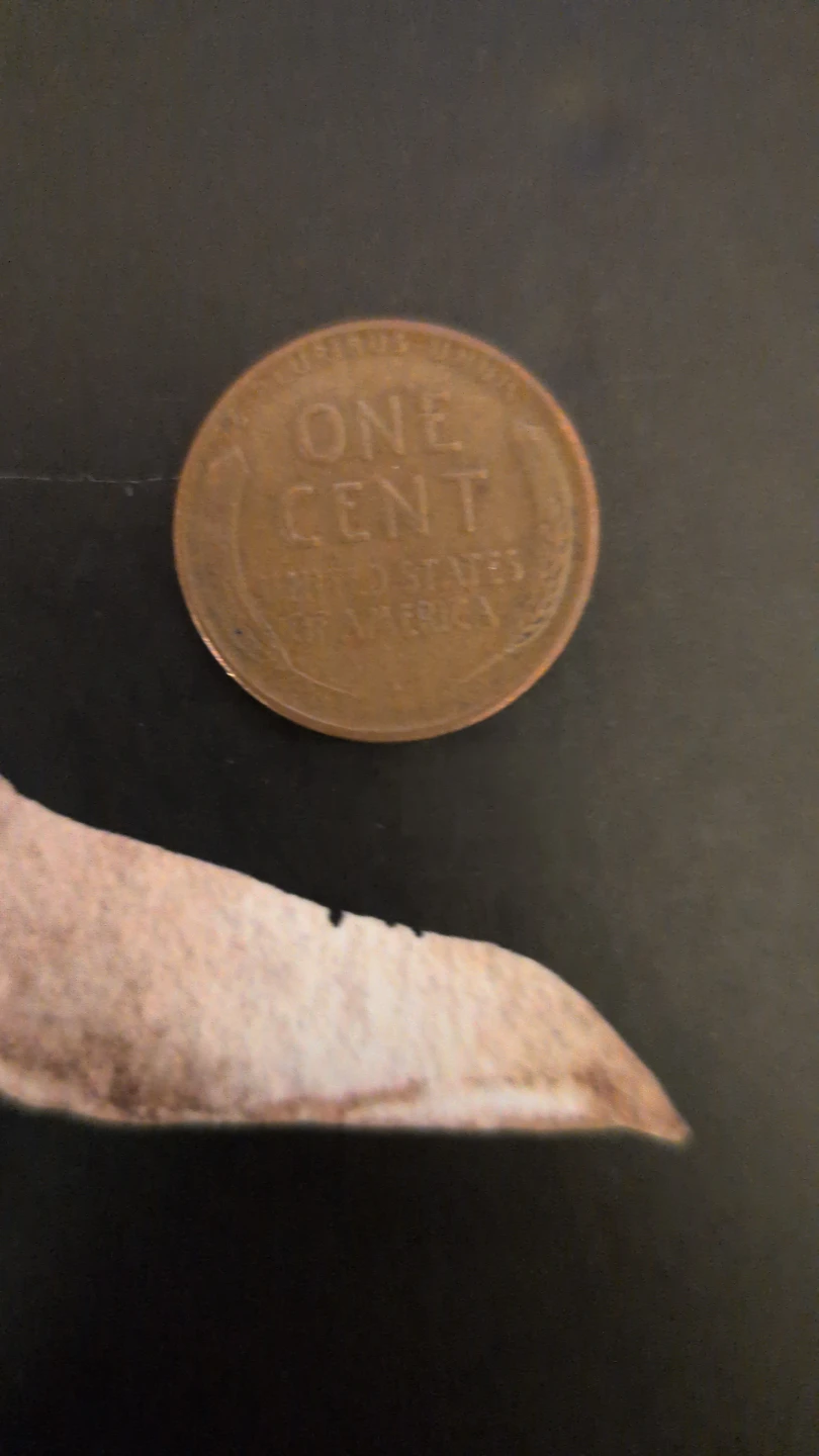 1951 D Wheat Penny - photo 2