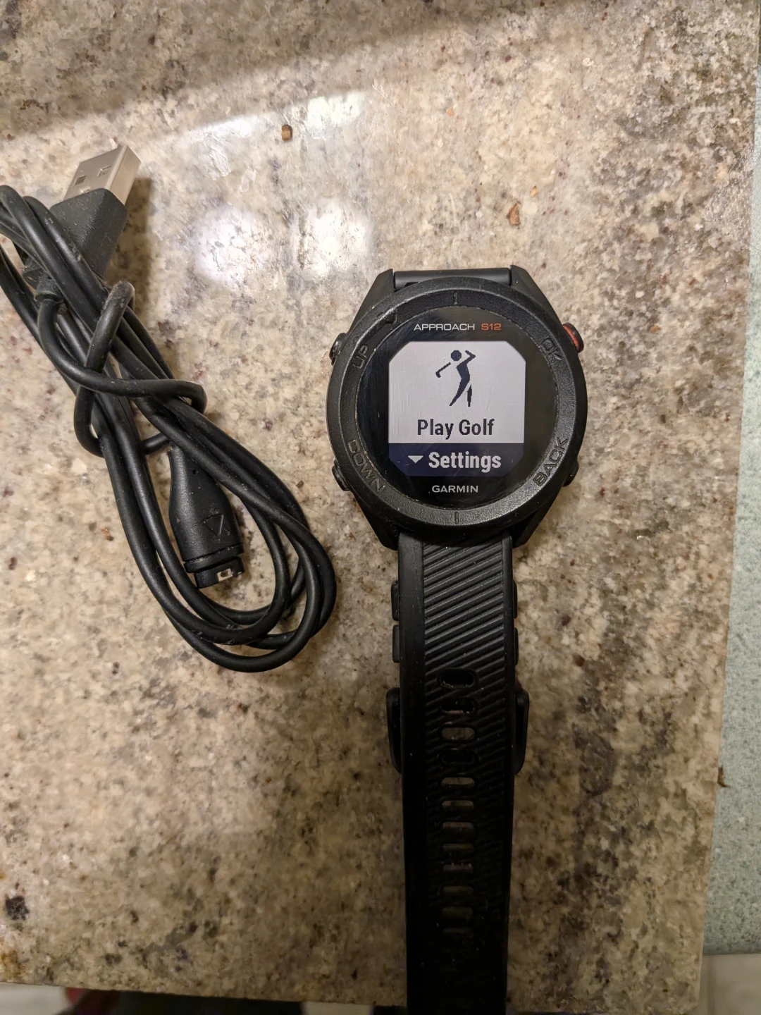 Garmin Sports Watch (Golf).