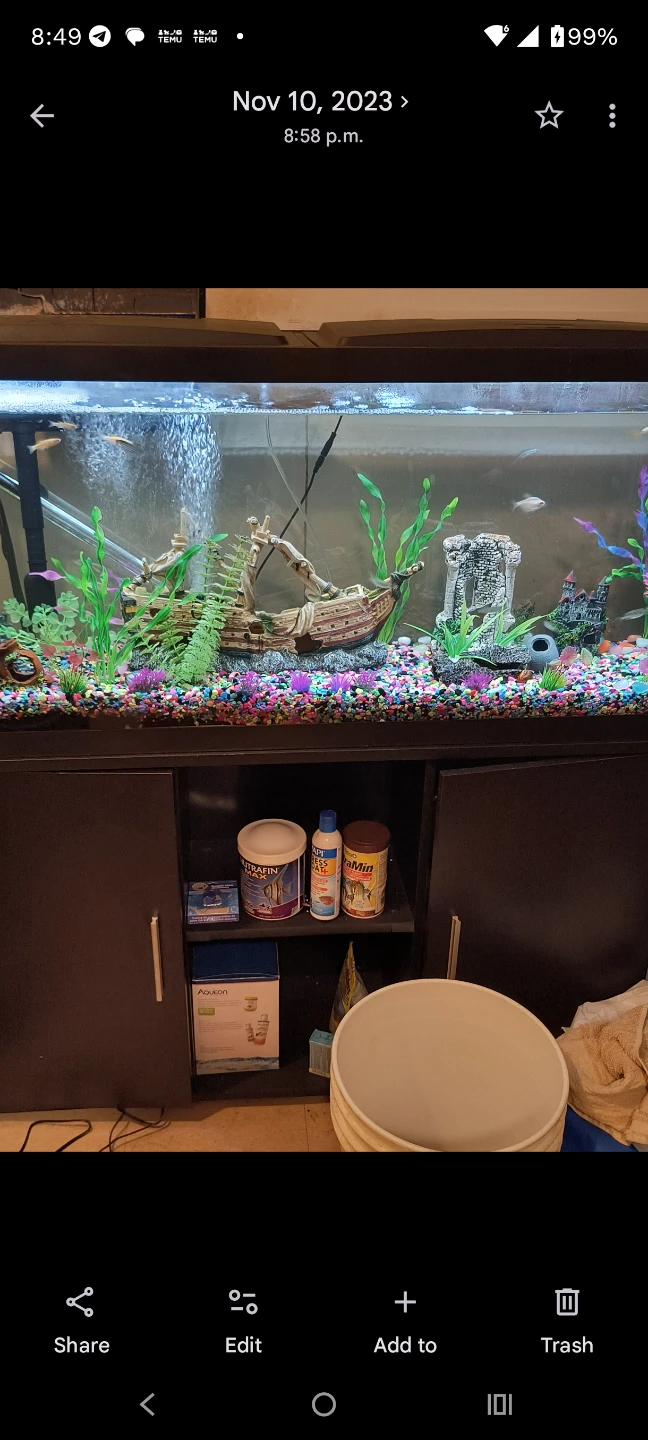55 Gallon Aquarium with Stand - photo 2